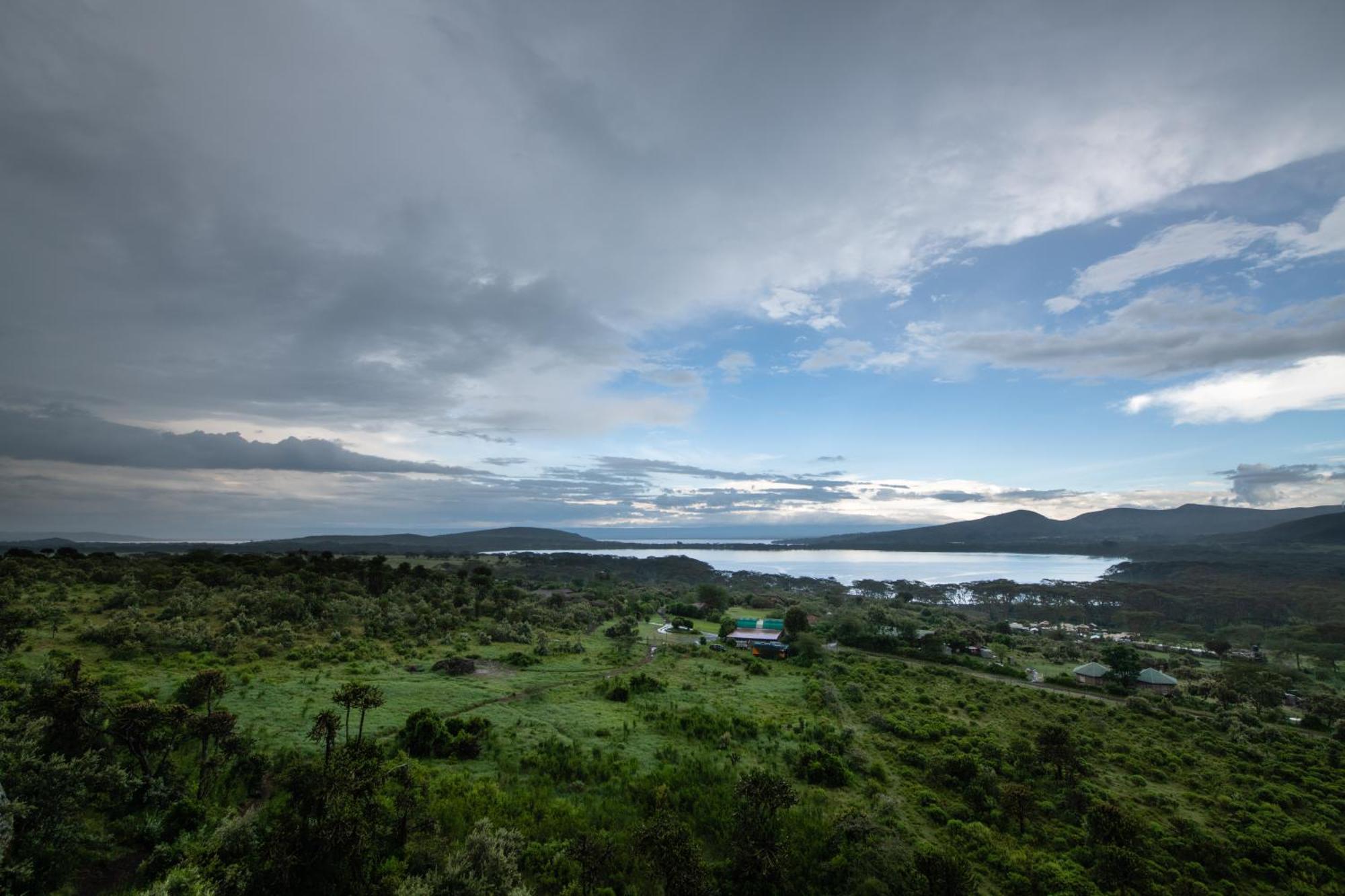 Naivasha Kongoni Lodge - Lakefront Getaway Exteriér fotografie